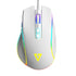 VELES White